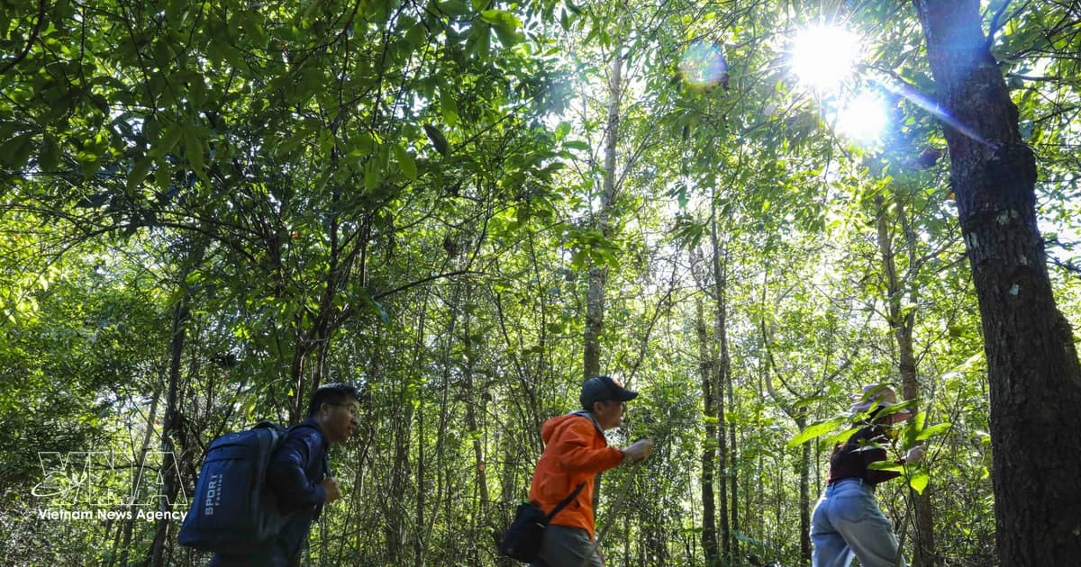 Vietnam tightens oversight of adventure tourism with new standard
