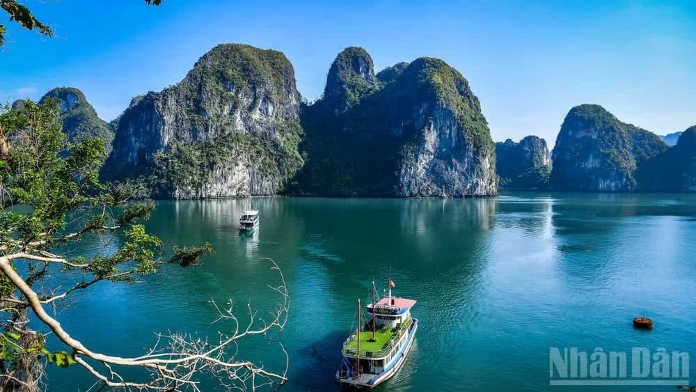 Shaping long-term growth drivers for tourism sector
