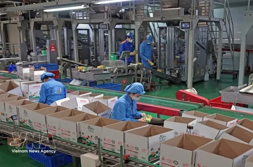 State - private synergy key to Viet Nam's growth ambitions