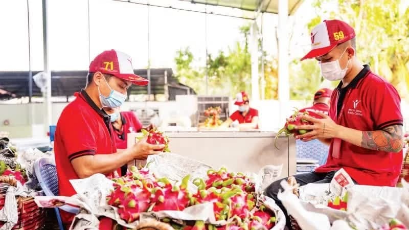 Adaptation needed to boost exports to the Halal market