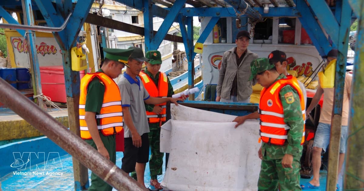 Dong Thap steps up digital vessel management, strengthens traceability