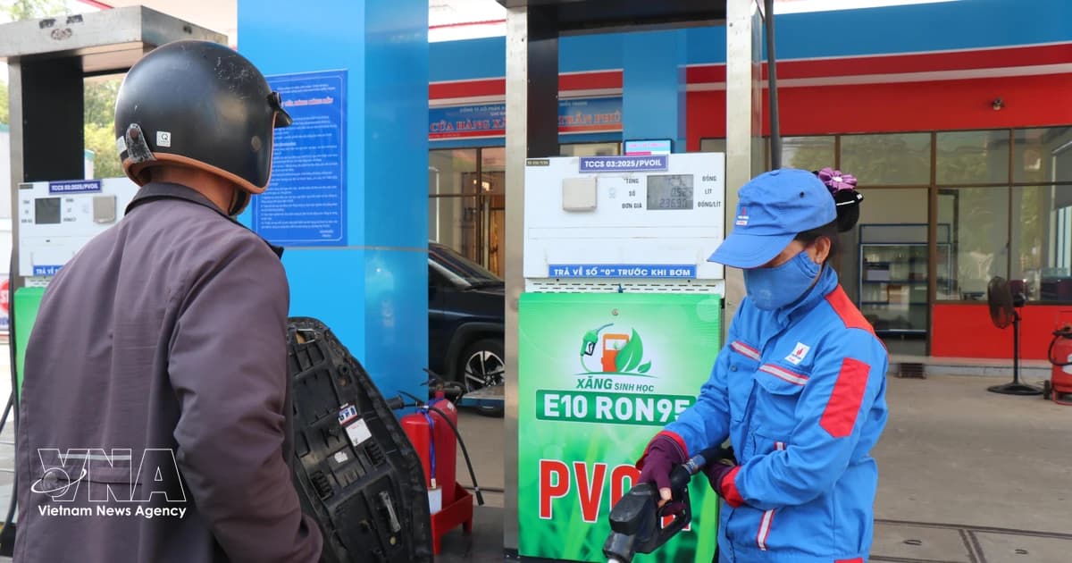 Dung Quat biofuel plant set for full-capacity operations in April