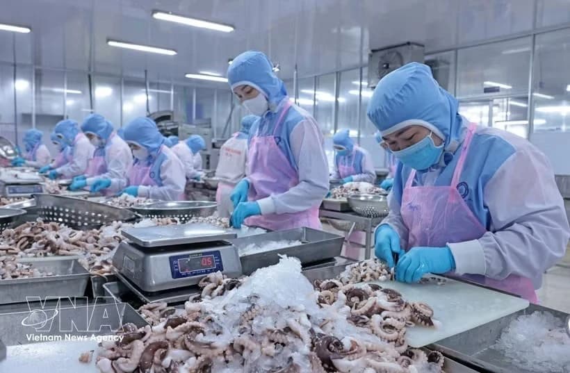 Viet Nam's long-term investment appeal remains intact: EuroCham