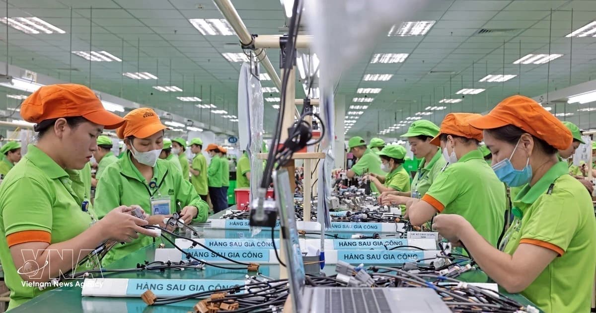 Viet Nam's economy maintains strong momentum amid global uncertainties: AMRO