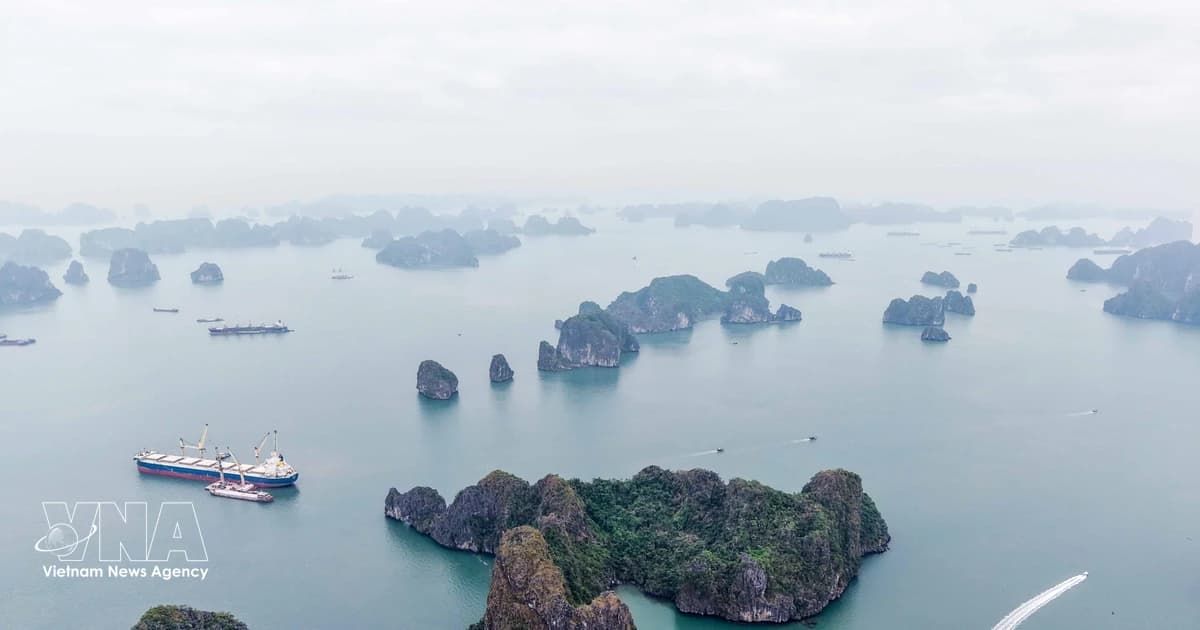 Quang Ninh - magnet for affluent Indian travellers