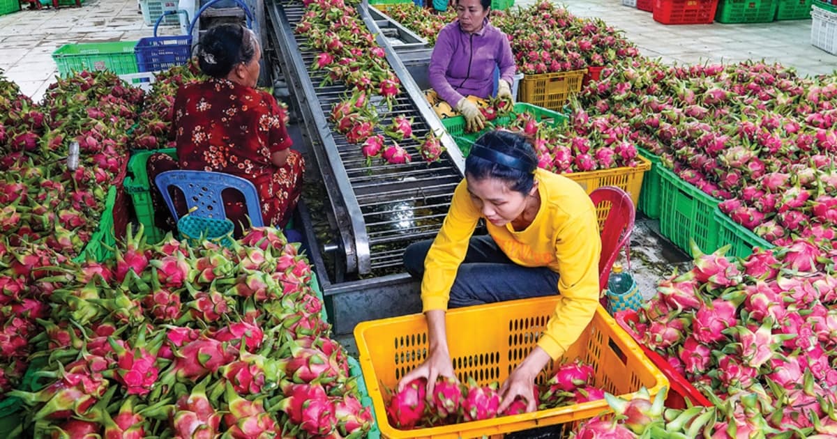 Proactive planning  for fruit and vegetable exports