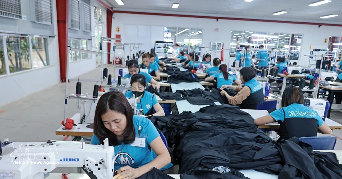 Upskilling becomes key lever for Vietnamese workforce in digital era