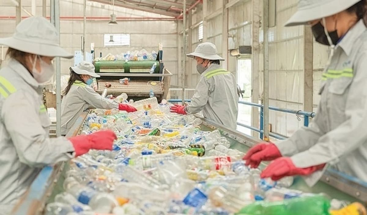 Companies required to pay recycling fees based on waste output