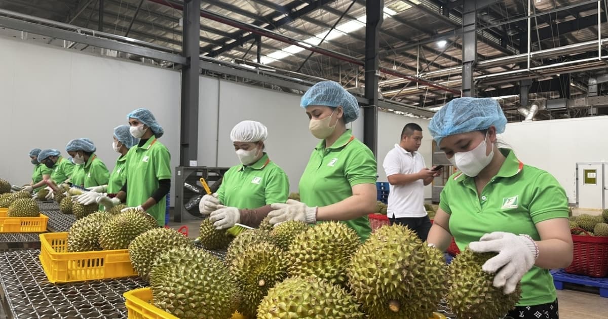 Vietnamese agricultural exporters advised to adapt to new regulations from China