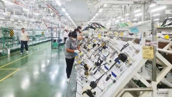 Quang Ninh province coastal economic zone set to become seaport, logistics hub in Vietnam’s northern coast