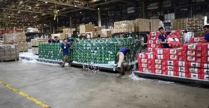 Second cargo flight continues to pave the way for Vietnamese agricultural products