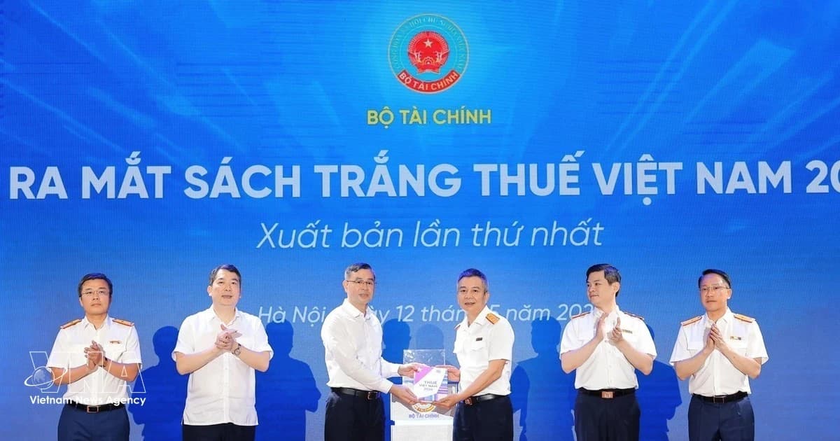 Viet Nam releases first-ever White Book on Taxation