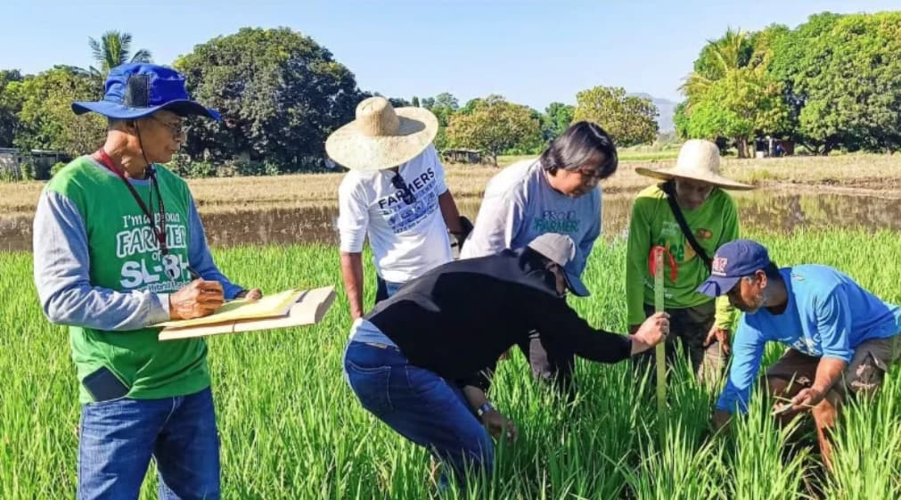 Viet Nam, Philippines further boost cooperation in food security