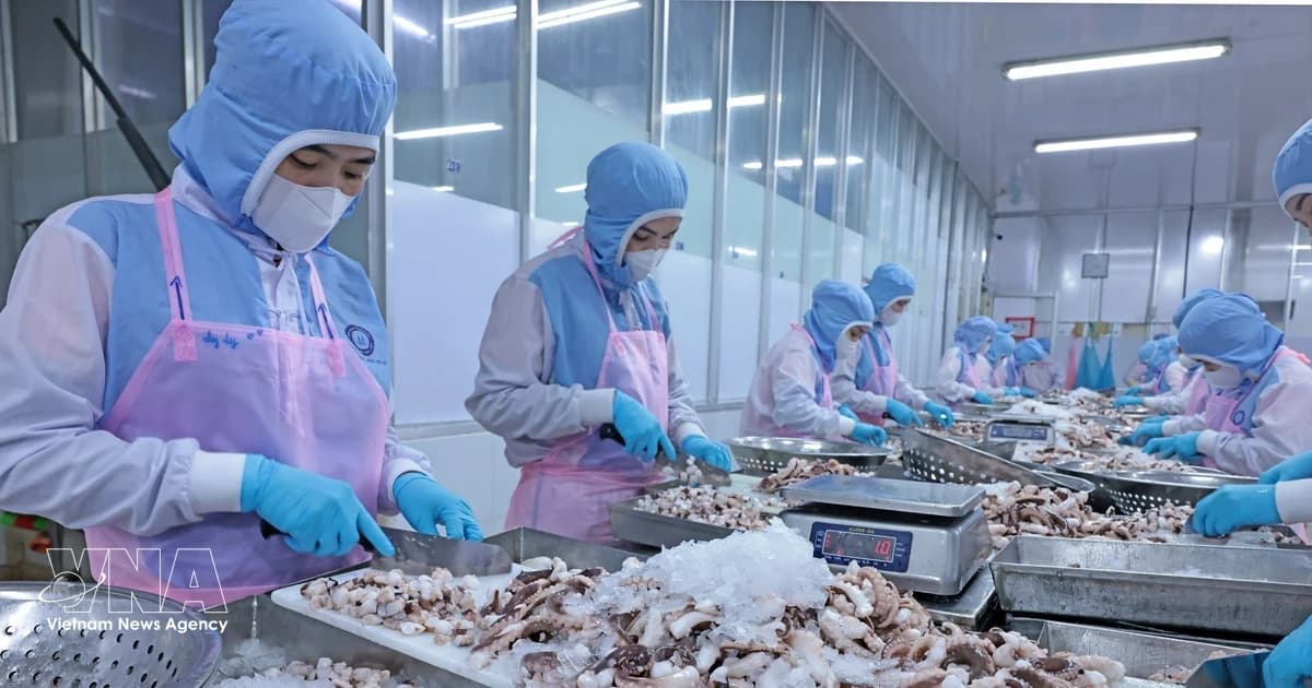 Digital technology helps standardise supply chains, sustain export competitiveness