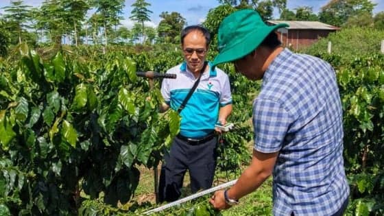 PVFCCo expands agricultural cooperation in Laos