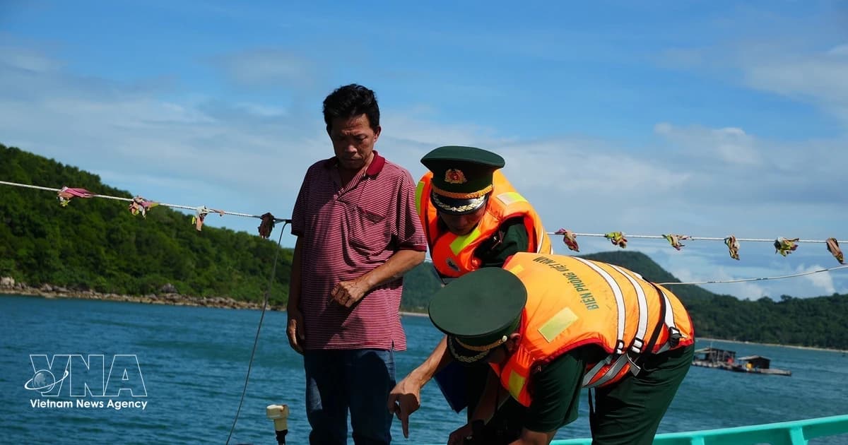 An Giang subsidises VMS upgrades to fight illegal fishing