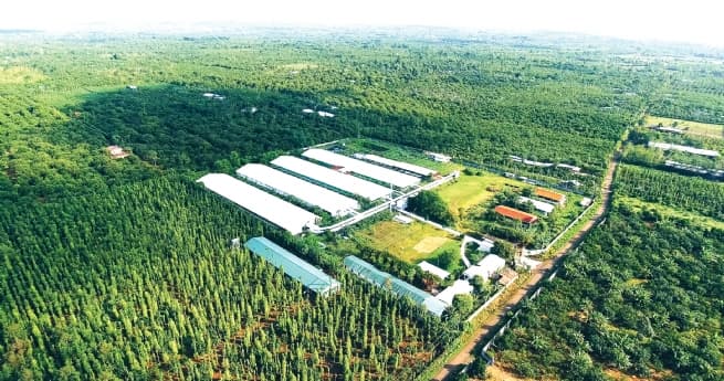 Turning Data into “Collateral” for Green Finance