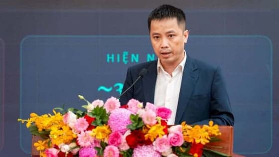 Vietnamese private economic groups: Achievements, efforts and paradoxes