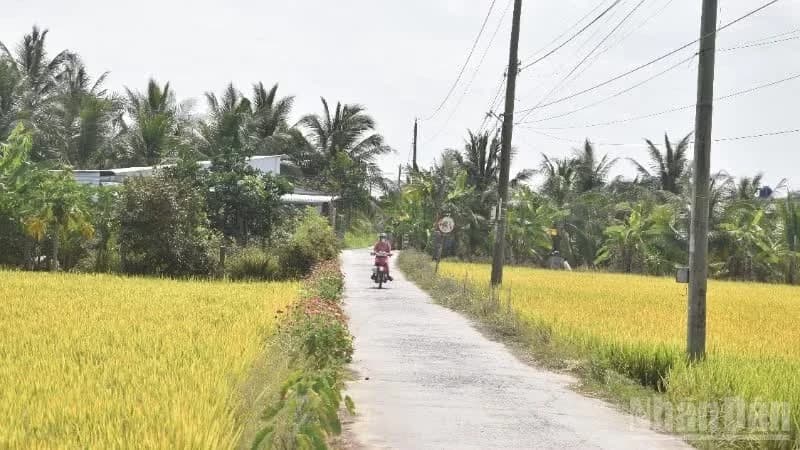 Awakening private sector growth from rural land