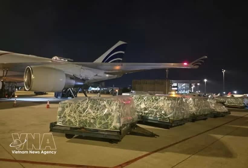 Nearly 100 tonnes of Vietnamese fruits, vegetables airlifted to UAE