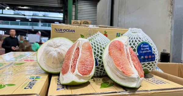 Viet Nam exports first shipment of fresh pomelos to Australia