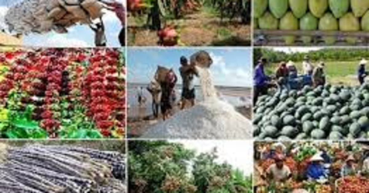 Vietnam seeks to boost agro-forestry-fishery exports beyond $74.2bln in 2026