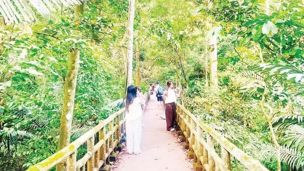 Experiencing and deepening connections through slow travel
