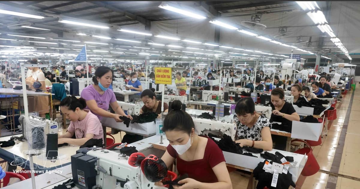Vietnam takes major step toward sustainable business development: ILO