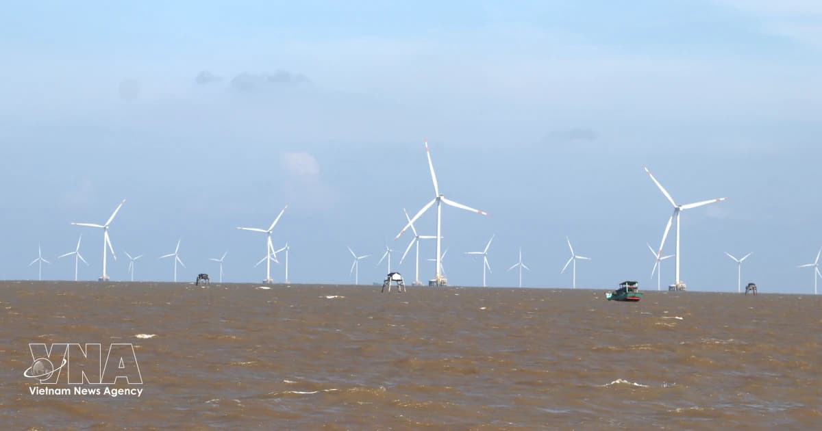 Offshore wind-hydrogen integration optimises investment efficiency