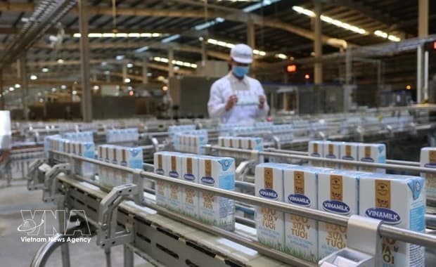 Vietnam's dairy industry sees vast growth potential in domestic market