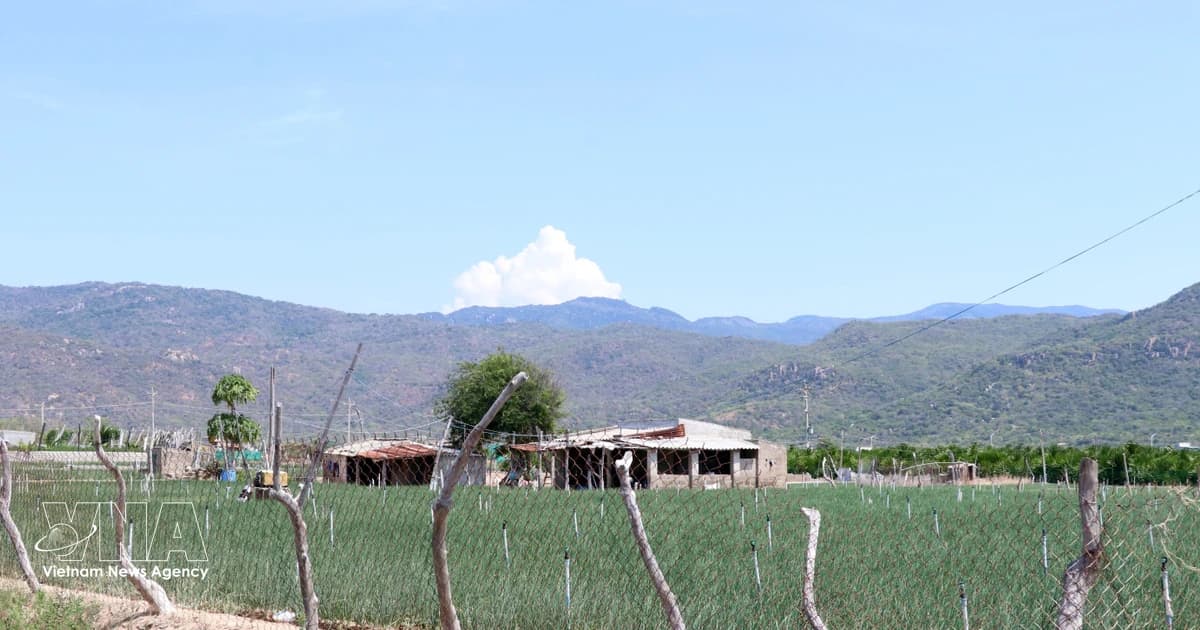Khanh Hoa sees active disbursement for nuclear site clearance