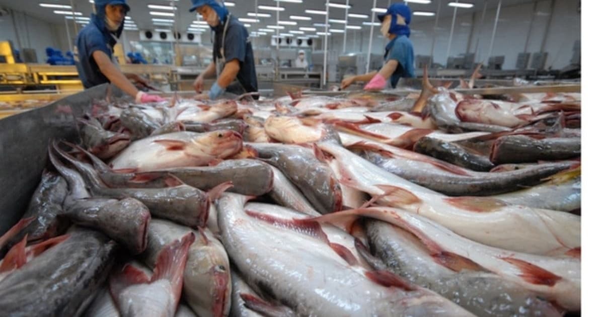 VietAgros 2026 promotes green transition and digitalization in fisheries