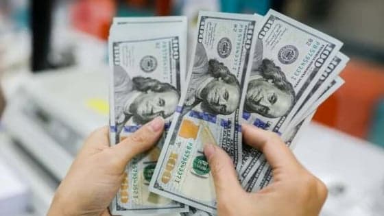 Vietnam's central bank to publish FX purchase, reserve data from 2027