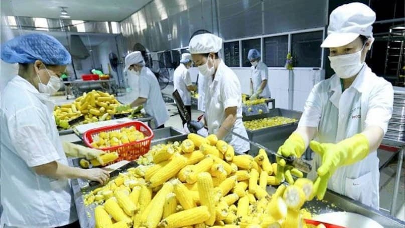 Vietnamese businesses race to comply with China’s new regulations