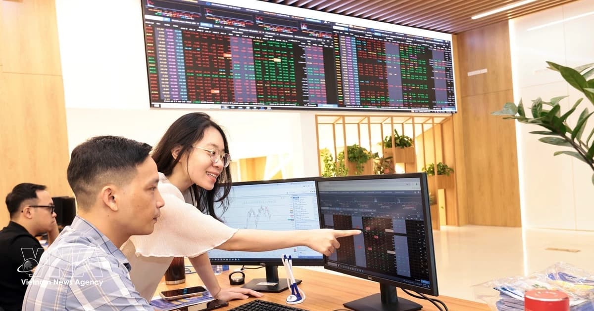 SOE equitisation urged to improve quality, attract foreign capital