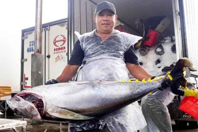 Gia Lai plans Tam Quan smart fishing port to lift exports