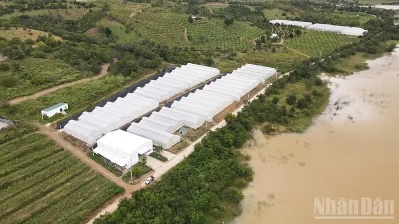 Khanh Hoa builds brand for clean agricultural products