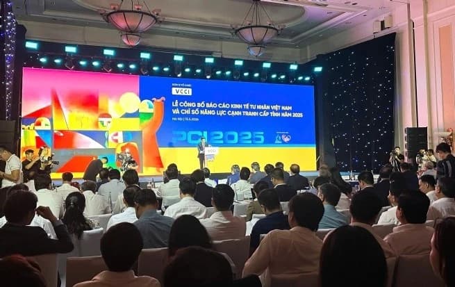 Viet Nam's 2025 Provincial Competitiveness Index announced