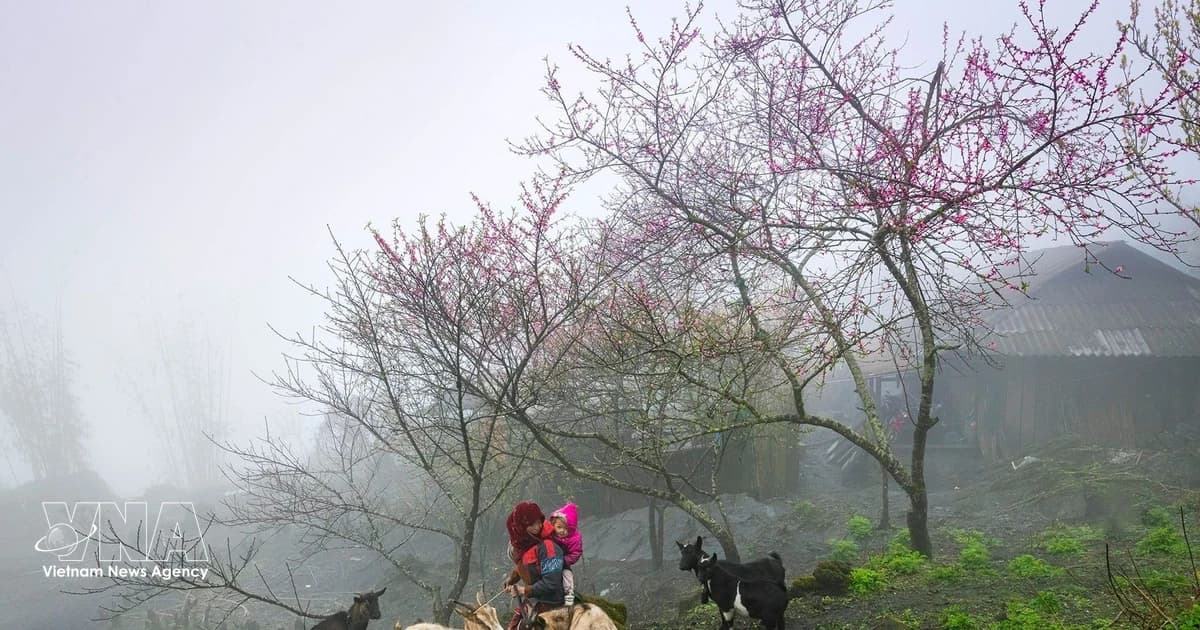 Vietnam targets tourism breakthrough by filling gaps