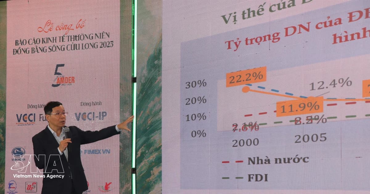 Mekong Delta Economic Report 2025 calls for institutional breakthroughs to empower private enterprises