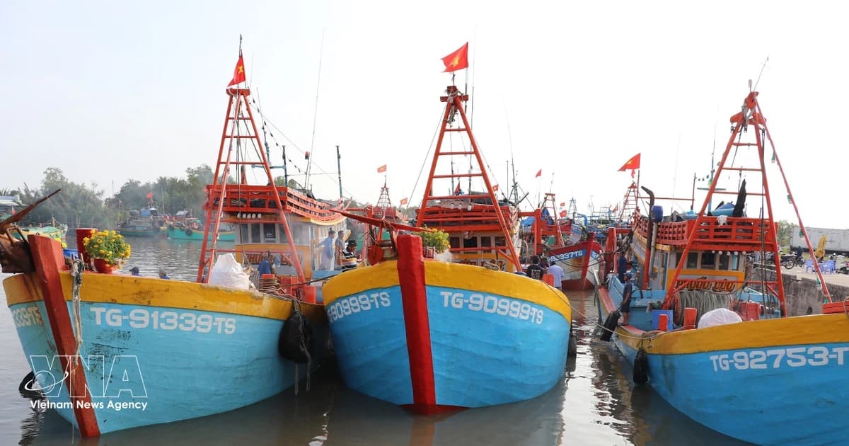 Dong Thap tightens control of fishing fleet to combat IUU fishing
