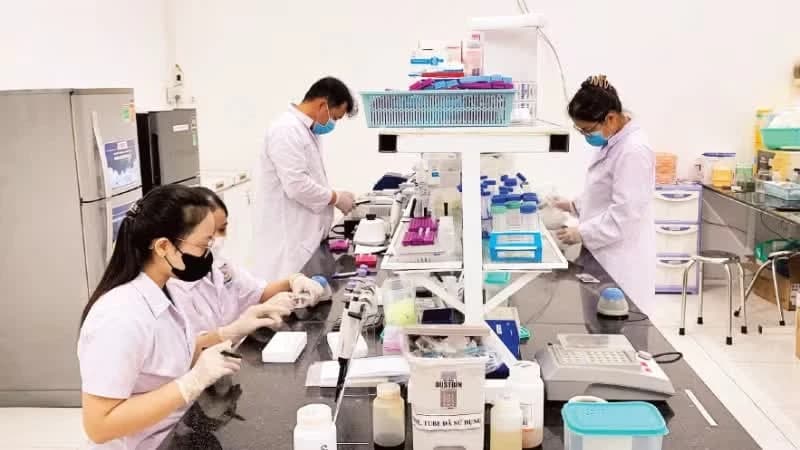 Can Tho creates new growth drivers