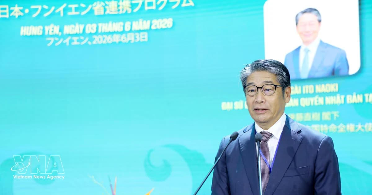 Hung Yen seeks to expand investment cooperation with Japanese partners