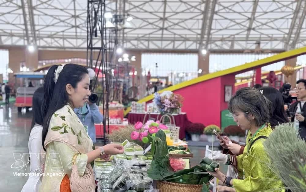 Domestic consumption gains momentum as retail sales rise over 11%