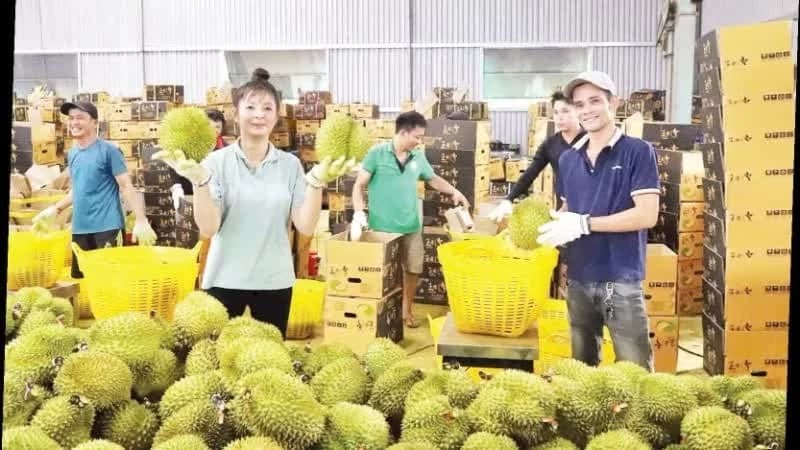 Removing obstacles and expanding capital sources for agricultural sector