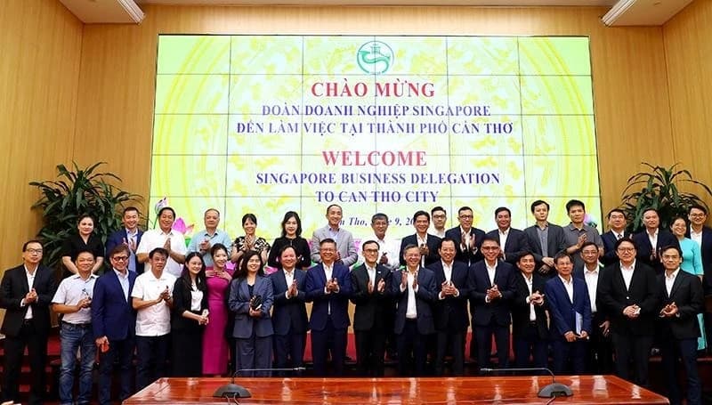 Can Tho invites Singaporean firms to invest in industry, energy, logistics