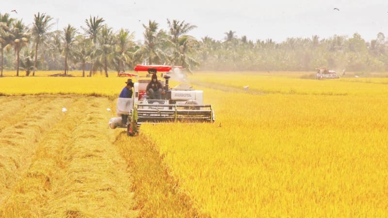 A solid foundation for Viet Nam Farmers’ Union to make breakthroughs and advance