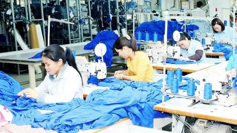 New test for Vietnamese exports