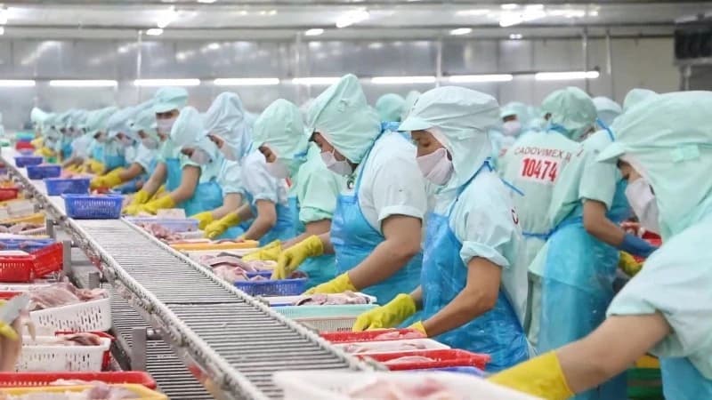 New-generation FTAs open wider export opportunities to Middle East and South Asia