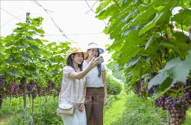Green tourism charts a new course for Vietnam